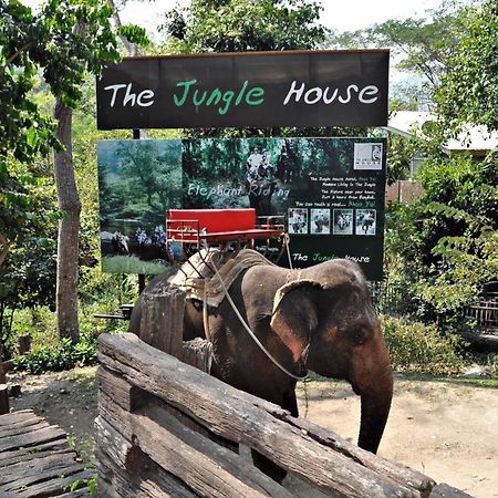 فندق The Jungle House Khaoyai مو سي المظهر الخارجي الصورة